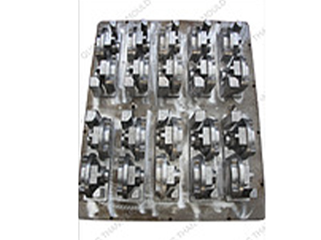 Common Mold